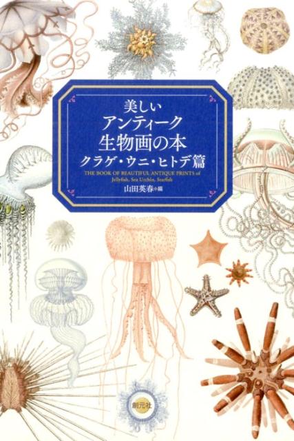 美しいアンティーク生物画の本 クラゲ・ウニ・ヒトデ篇 | Beautiful Antique Natural History Illustrations: Jellyfish, Sea Urchins and Starfish