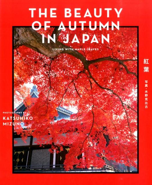 THE BEAUTY OF AUTUMN IN JAPAN / 紅葉 | THE BEAUTY OF AUTUMN IN JAPAN