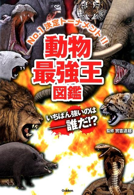 動物最強王図鑑 | Animal Battle Championship Encyclopedia