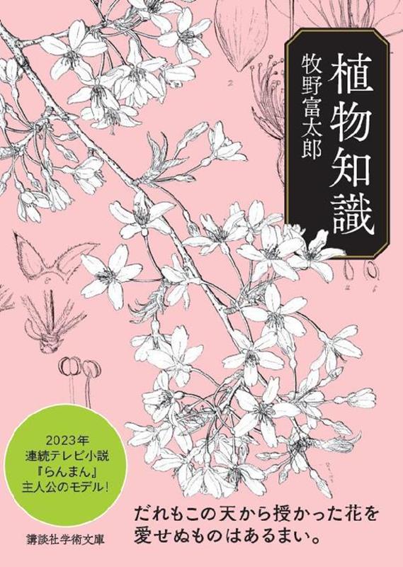 植物知識 | Botanical Knowledge