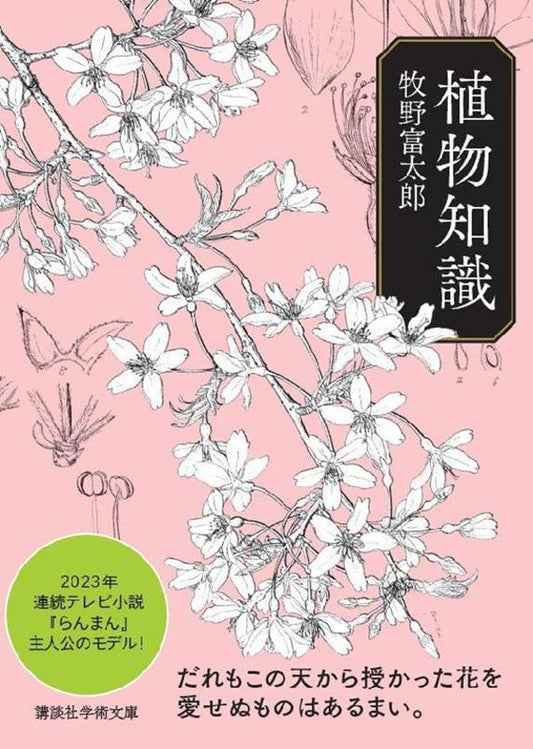 植物知識 | Botanical Knowledge