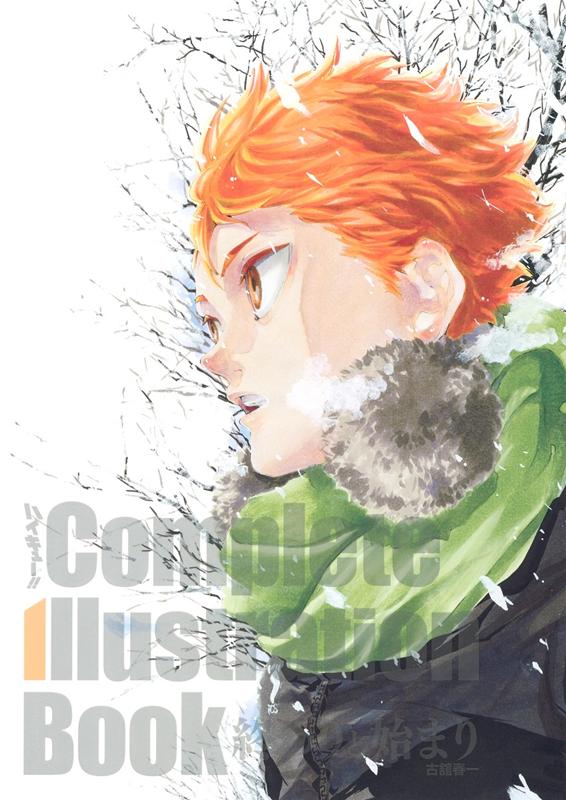 ハイキュー！！Ｃｏｍｐｌｅｔｅ　Ｉｌｌｕｓｔｒａｔｉｏｎ　Ｂ | Haikyu!! Complete Illustration Book: Endings and Beginnings