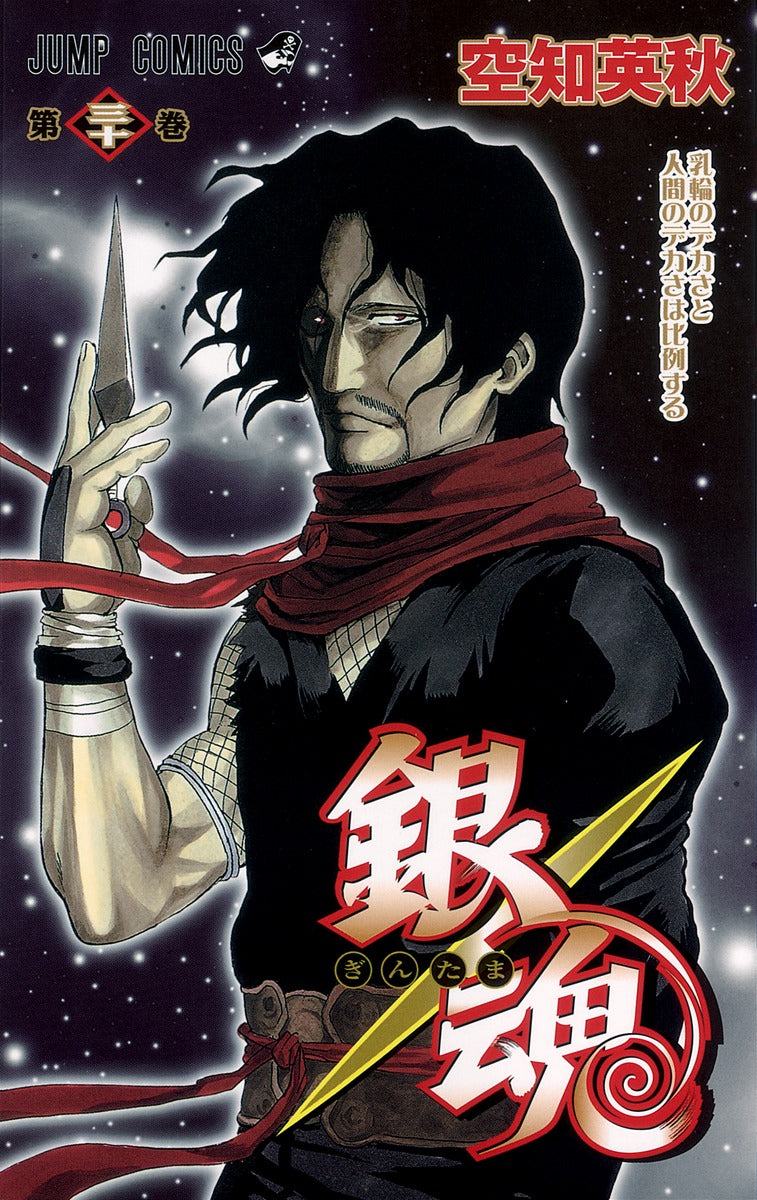 銀魂―ぎんたま― 30 | Gintama, Vol. 30: The Heavier the Baggage, the Harder It Is to Carry