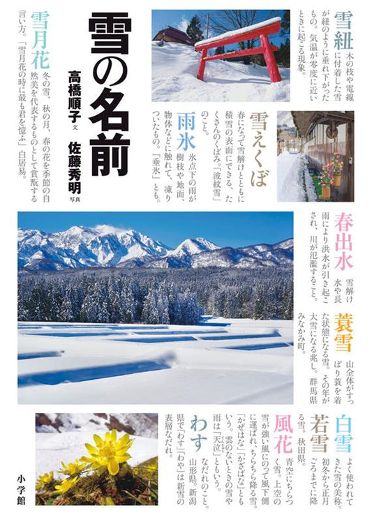 雪の名前 | Names of Snow