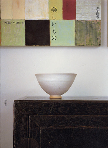 美しいもの | Beautiful Things