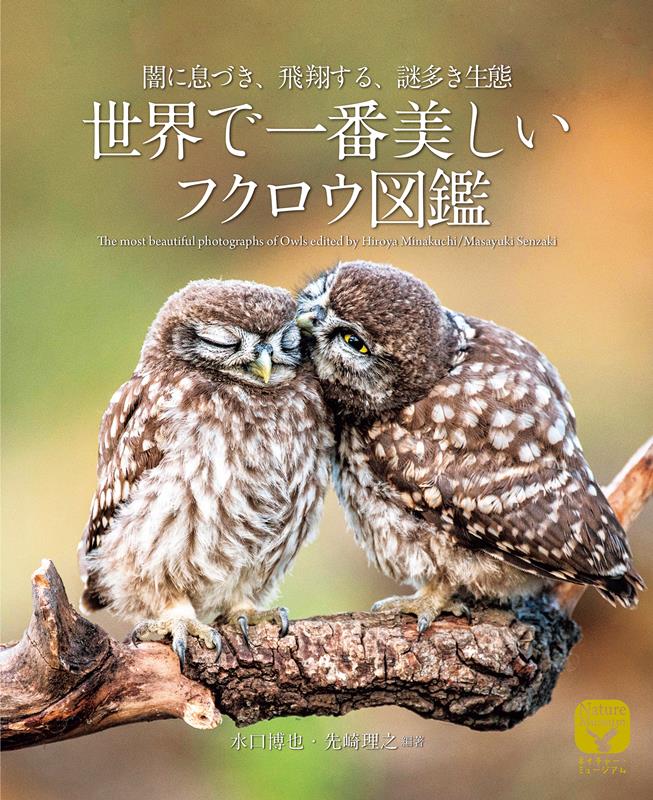 世界で一番美しいフクロウ図鑑 | The Enigma of the Owl