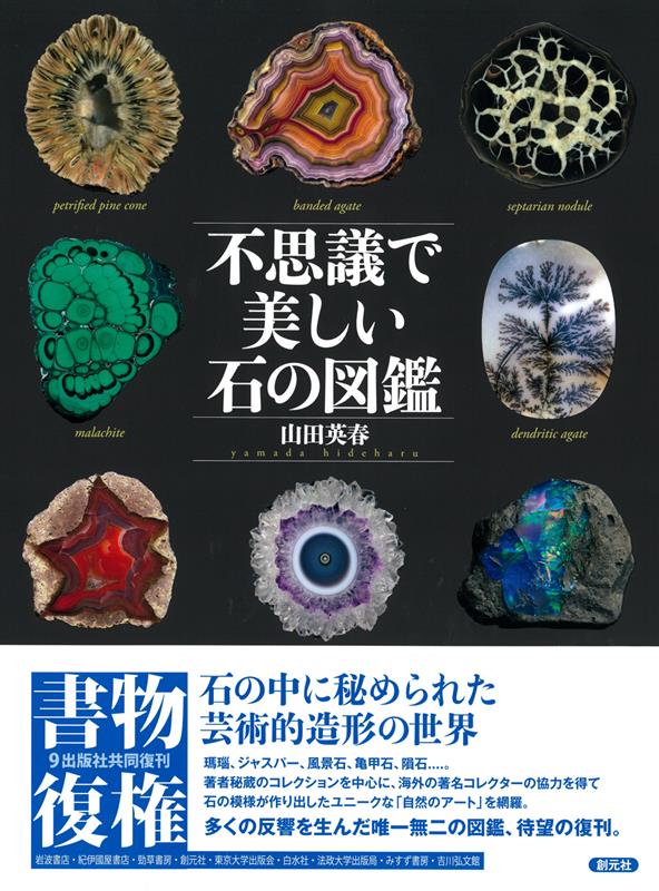 不思議で美しい石の図鑑 | The Encyclopedia of Curious and Beautiful Stones