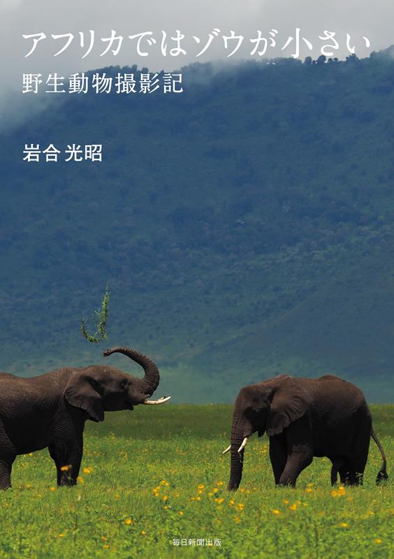 アフリカではゾウが小さい | In Africa the Elephants Look Small: Wildlife Photography Notes