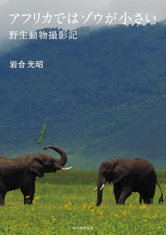 アフリカではゾウが小さい | In Africa the Elephants Look Small: Wildlife Photography Notes