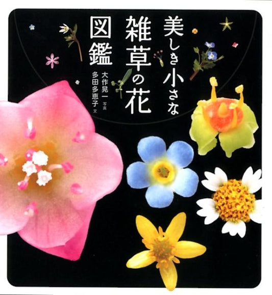美しき小さな雑草の花図鑑 | A Pictorial Book of Beautiful Small Weed Flowers