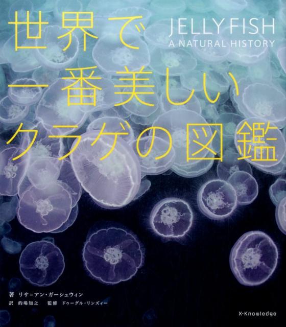 世界で一番美しいクラゲの図鑑 | The Most Beautiful Jellyfish in the World