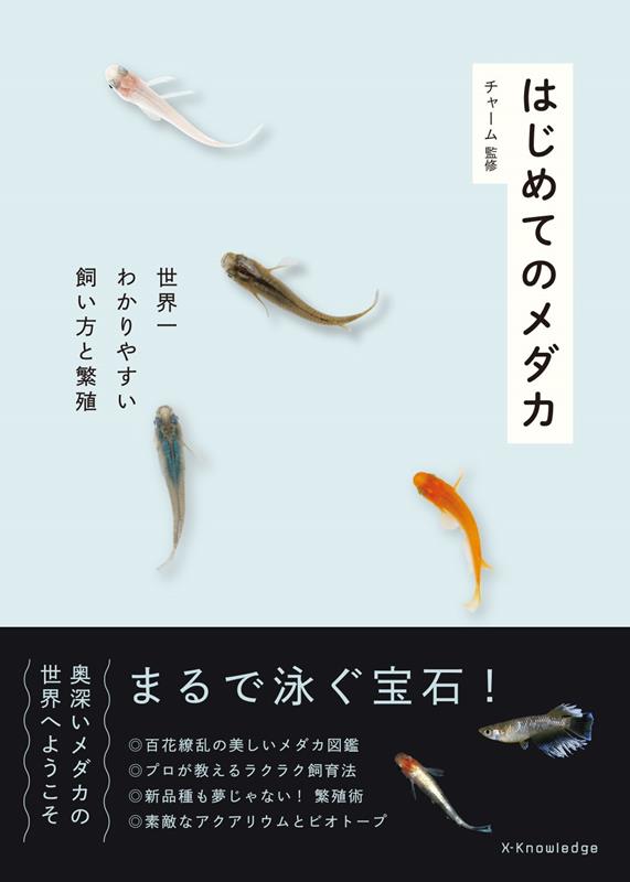 はじめてのメダカ | Your First Medaka Killifish