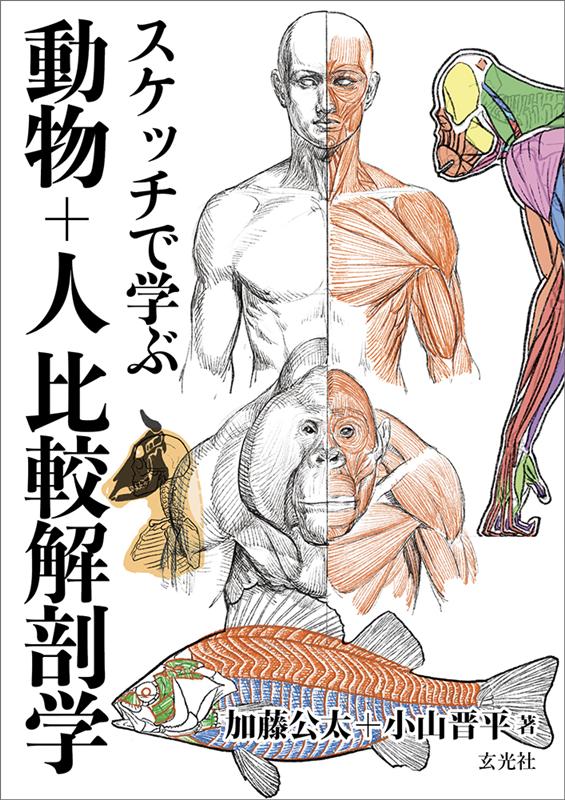 スケッチで学ぶ 動物＋人比較解剖学 | Comparative Anatomy of Animals and Humans