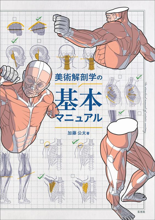 美術解剖学の基本マニュアル | Basic Manual of Art Anatomy