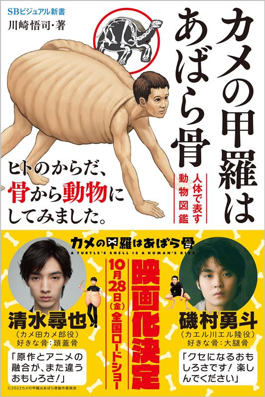 カメの甲羅はあばら骨 | Turtle Shells are Ribs