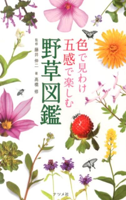 色で見わけ五感で楽しむ野草図鑑 | Wildflower Encyclopedia to Enjoy with Five Senses