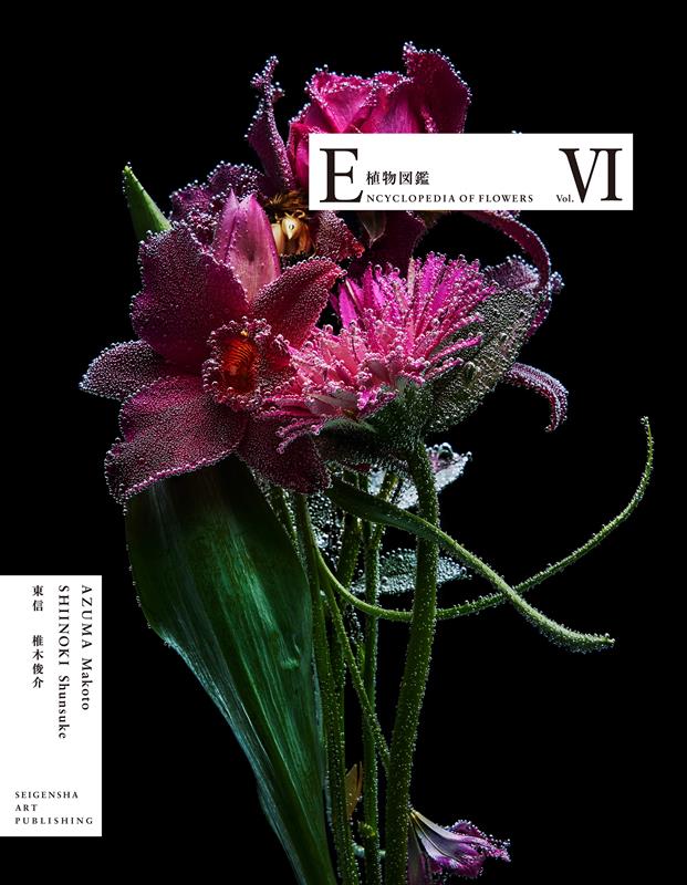 ENCYCLOPEDIA OF FLOWERS VI 植物図鑑 | Encyclopedia of Flowers VI
