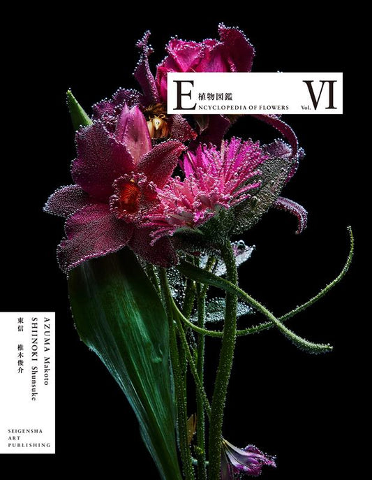 ENCYCLOPEDIA OF FLOWERS VI 植物図鑑 | Encyclopedia of Flowers VI