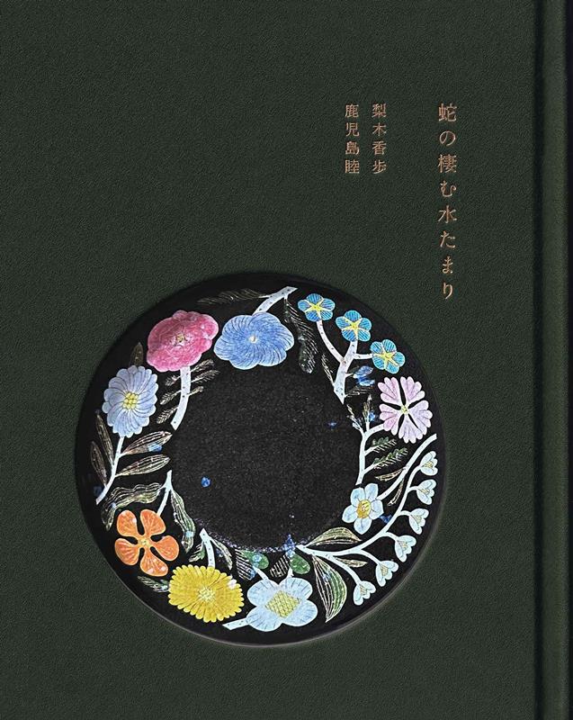 蛇の棲む水たまり | The Puddle Where the Snake Lives